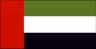 UAE flag