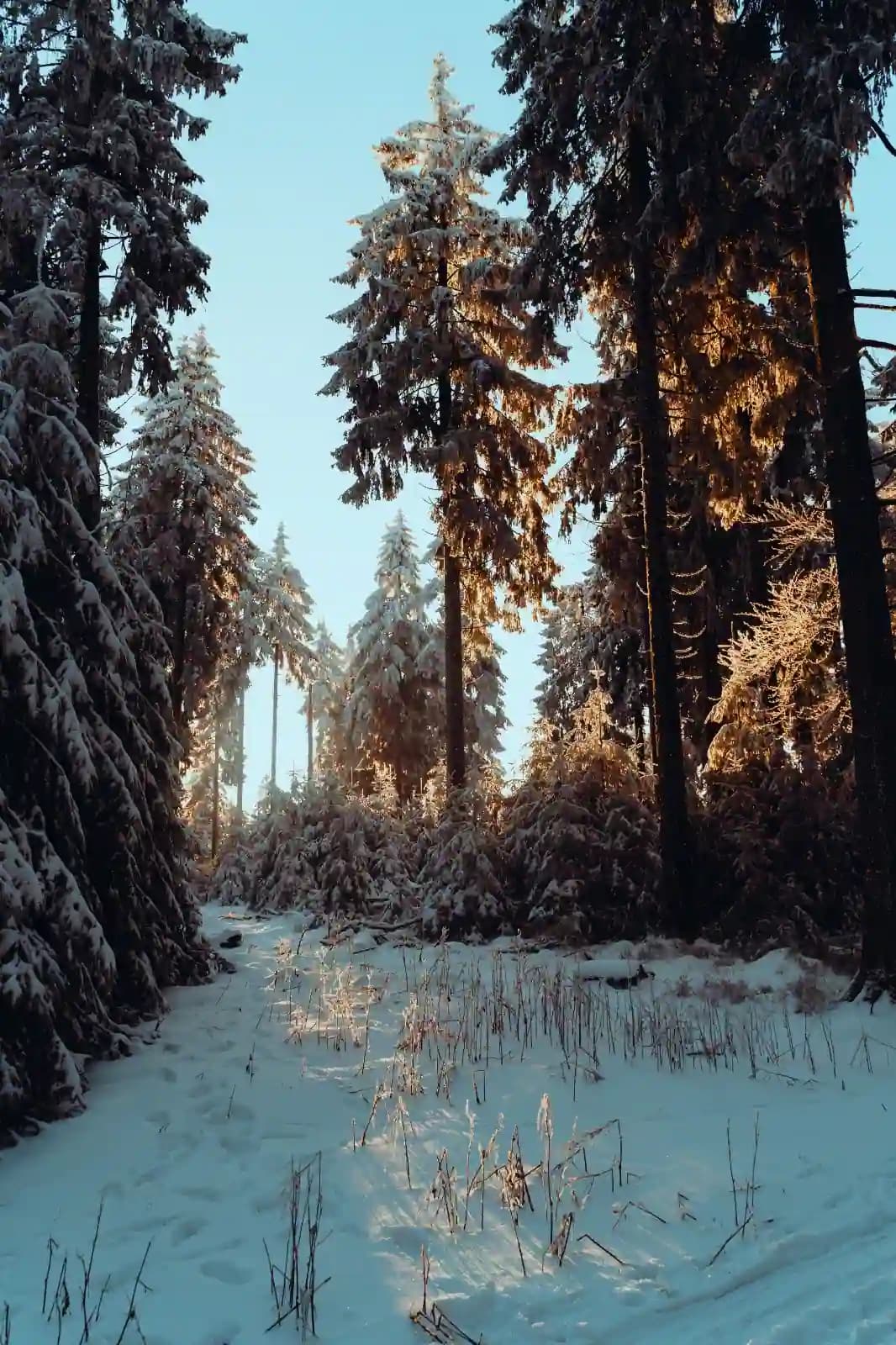 Belgium office location