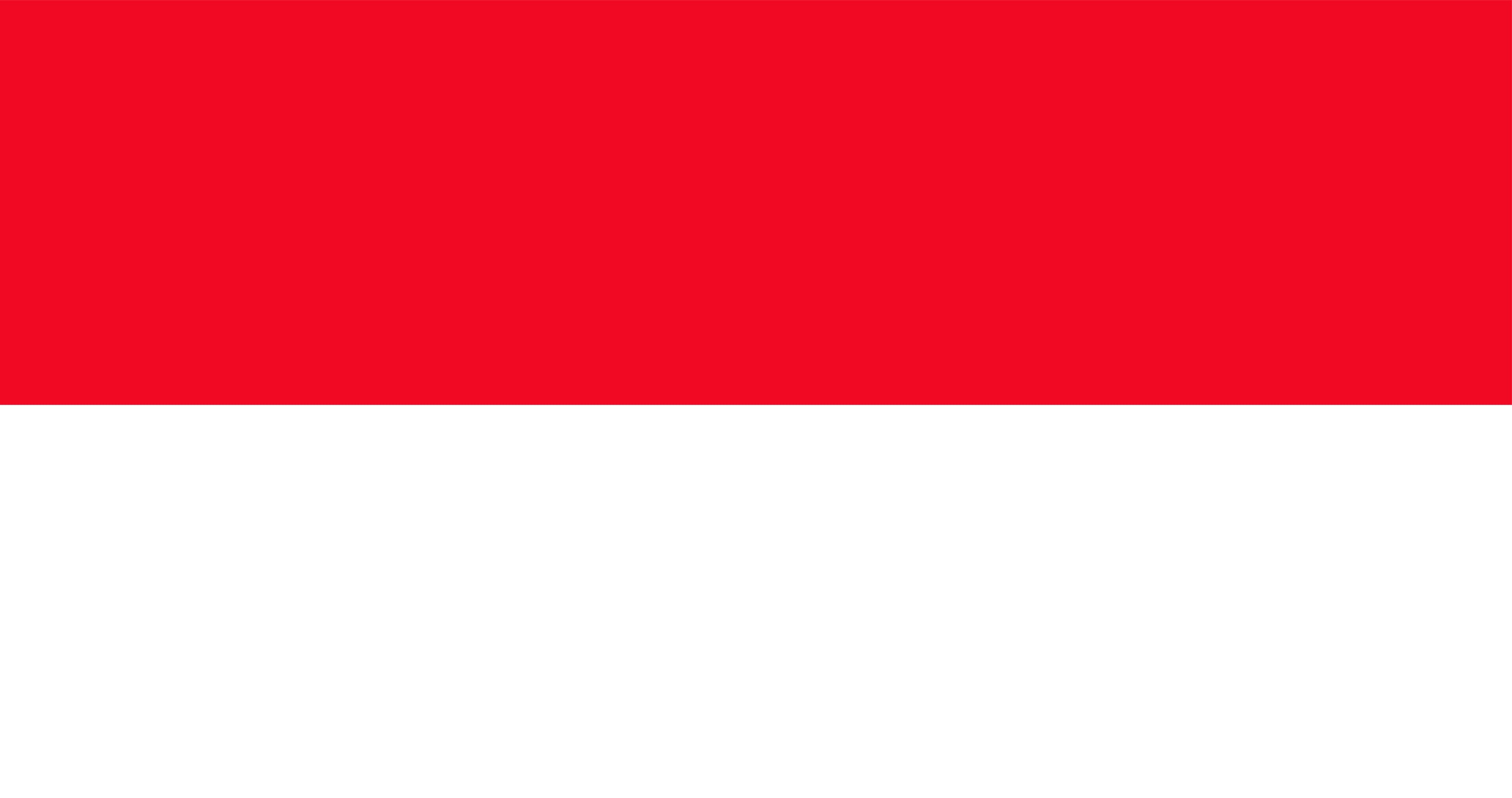 Poland flag