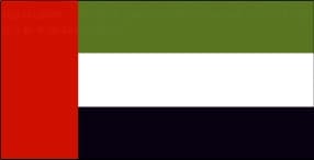 UAE flag